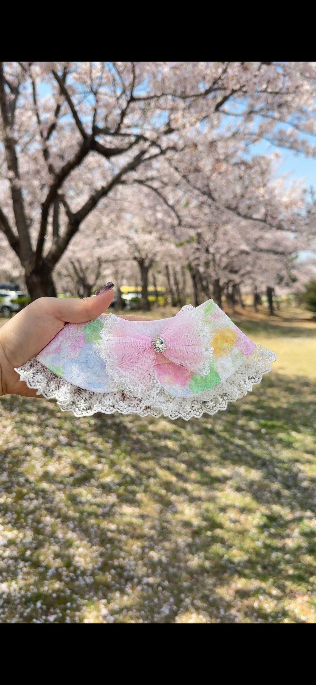 image_12F36BDB-CBDD-4D92-A877-75084E97C6EA_1775972313