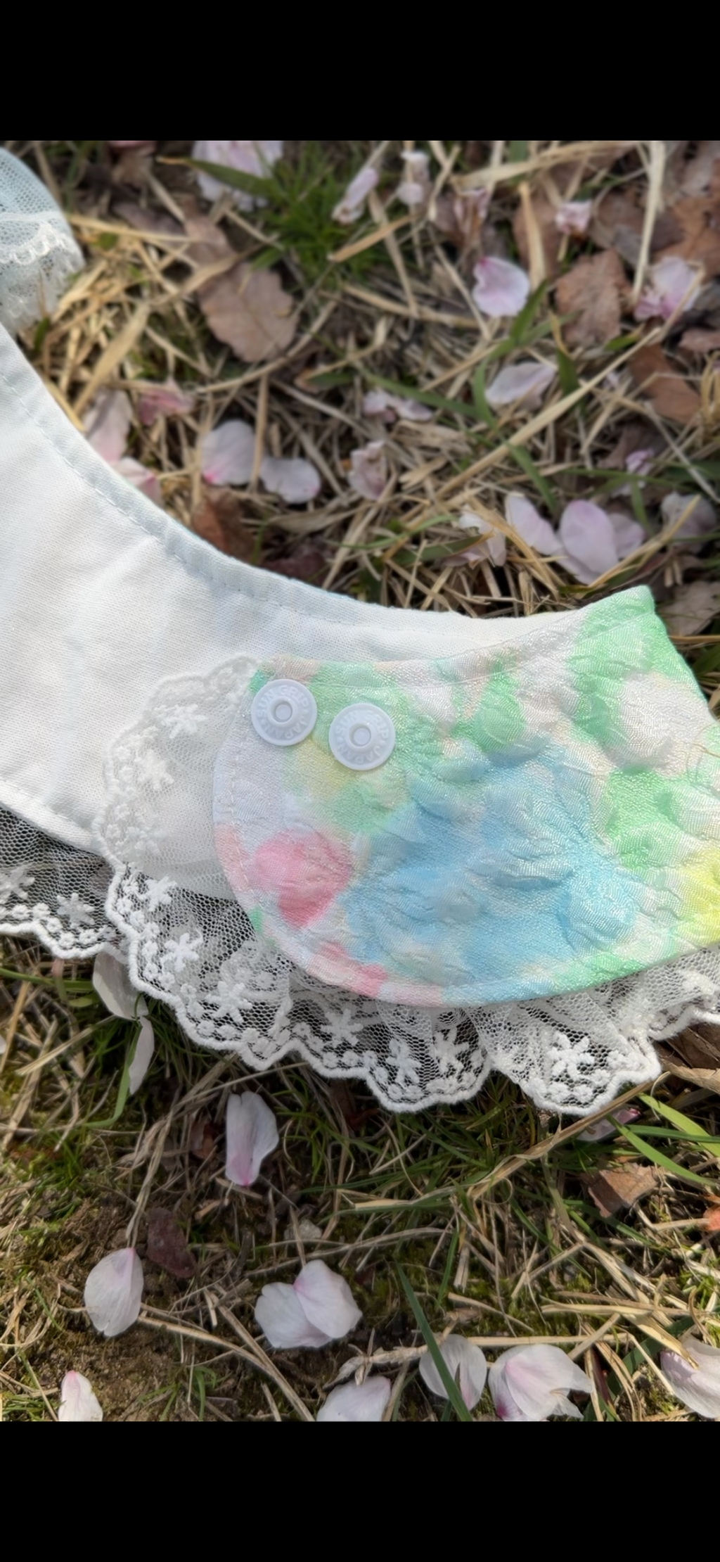 image_54202BE4-6D2E-42C6-8ED7-88A41315AF92_1775972313