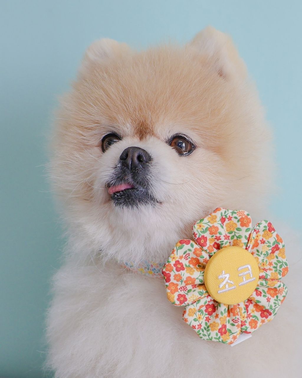 image_DAE25165-58FF-477B-B813-2ECED69EB1CB_1775975585