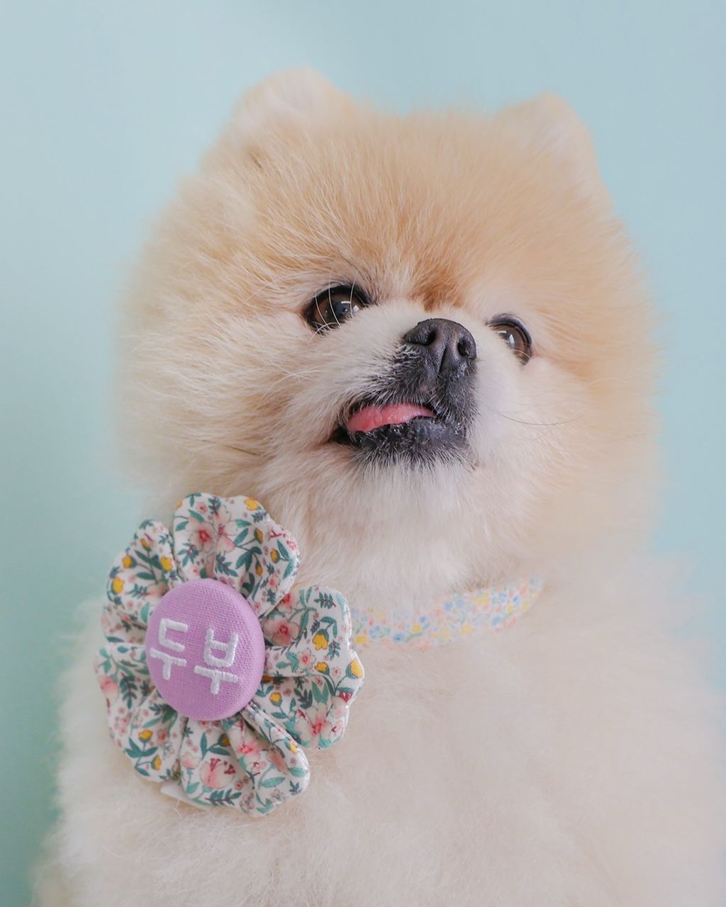 image_E3F54506-64DF-4959-AC9D-EF091767BAA6_1775975585