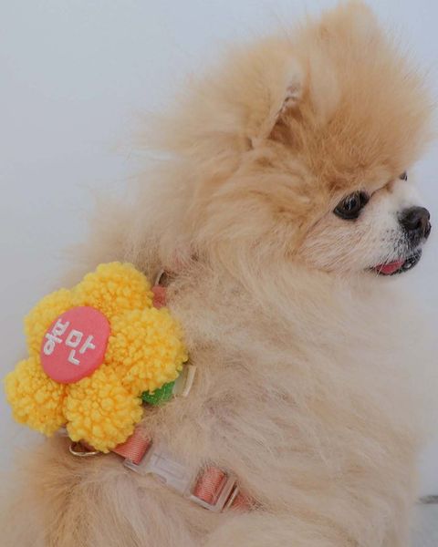 image_681C7A9D-0D96-4A20-B0FC-6582DF2E1F8B_1776078975