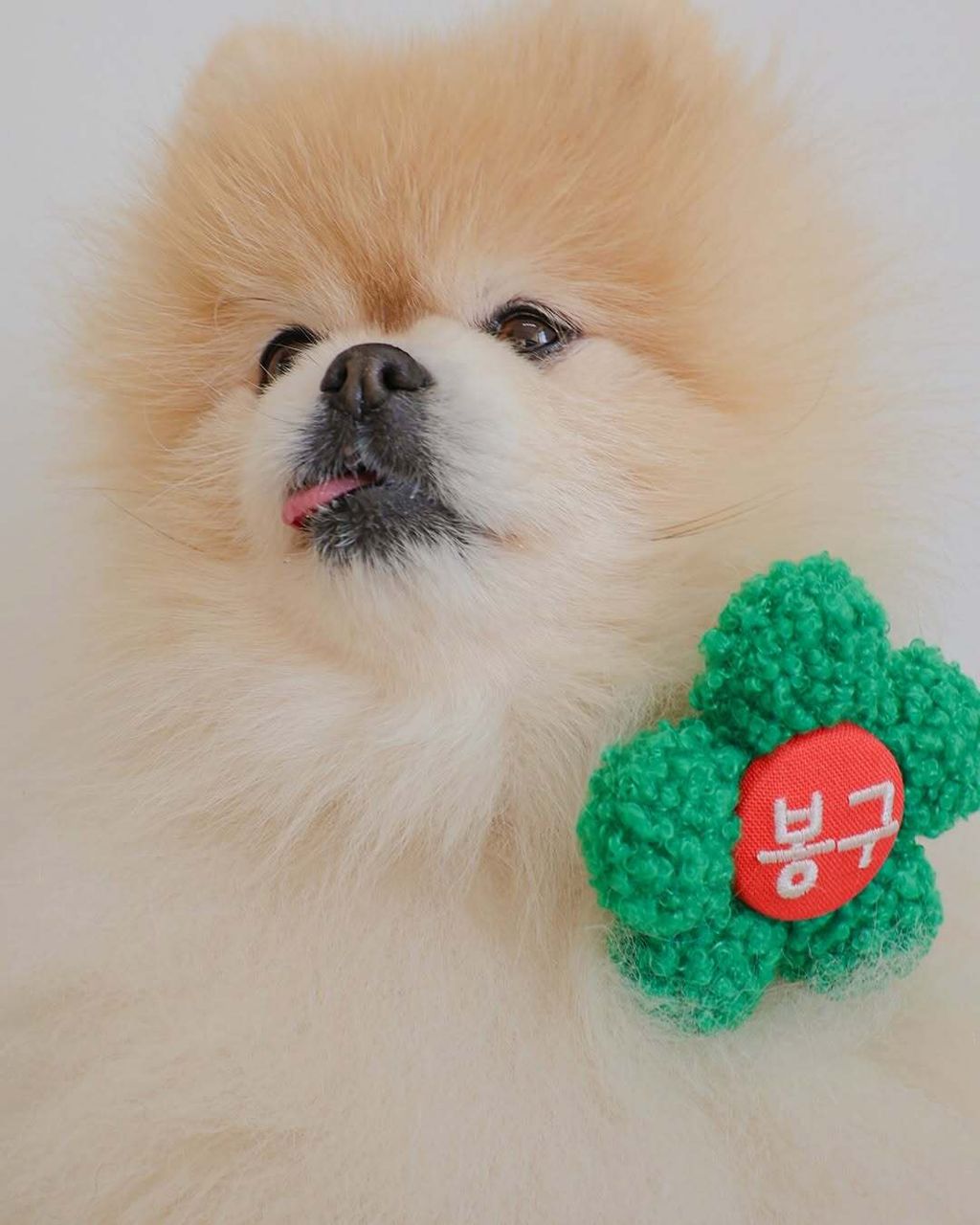 image_81E935E6-4943-468F-BC32-4D6331428086_1776078975