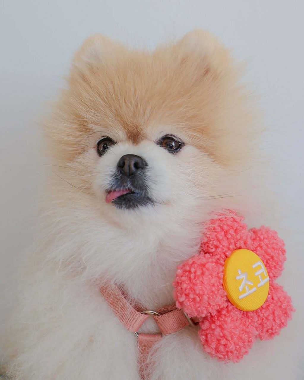 image_A59FAE16-693D-43CF-B4D9-7BB6EC722C70_1776078975