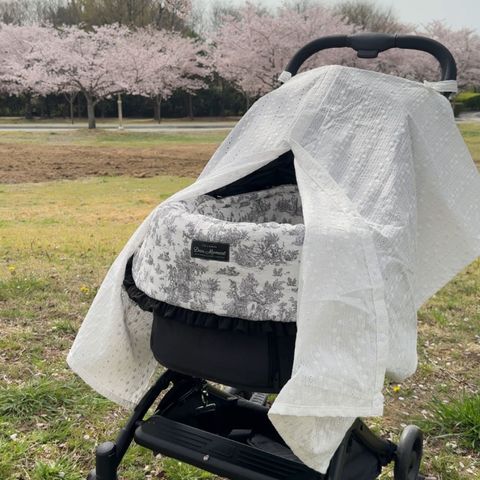 image_AA08A0CE-5421-4353-A309-BE4875CE9028_1776221752