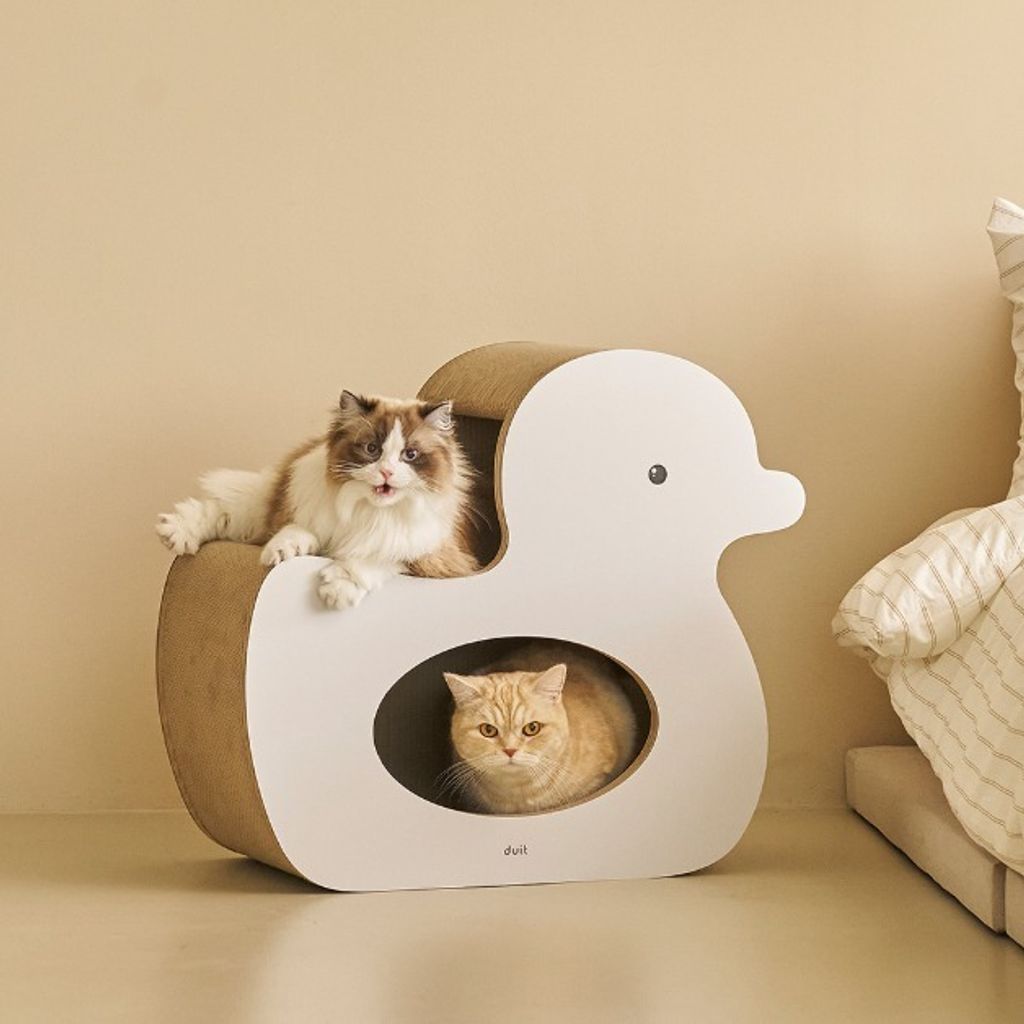 image_F28DF574-1113-4152-A171-3DF0572A2A8A_1776223604