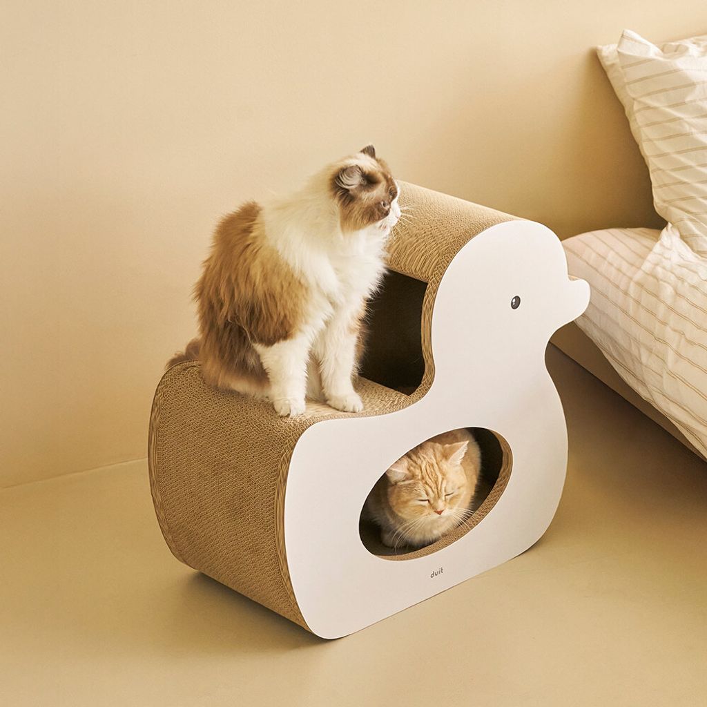 image_8AE06CB1-1978-4951-81C0-BEFCD28993E5_1776223604