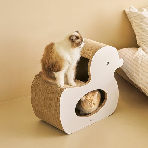 image_8AE06CB1-1978-4951-81C0-BEFCD28993E5_1776223604