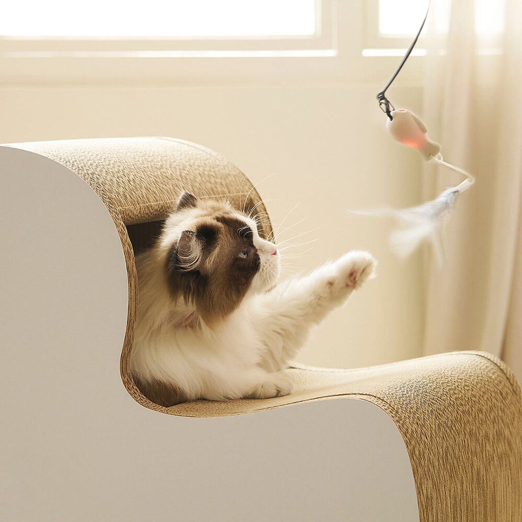 image_0A232E78-E561-4492-8EBA-E15F61AE9C0F_1776223604