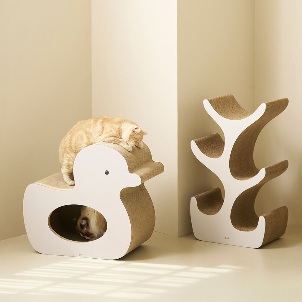 image_175A3192-3D98-42D6-95FF-517D3EAF4D8B_1776223604