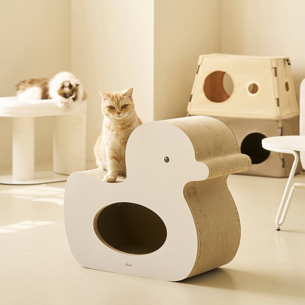 image_3331E3CE-2601-4E9A-9CE6-C4B2443FDF73_1776223604