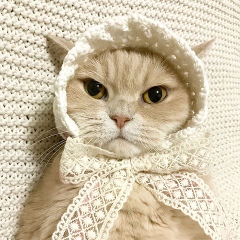 image_3F7DE980-6742-4674-B1FC-3E6D427E0384_1776228644