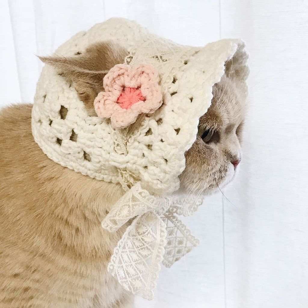 image_0FF343CB-2F40-4D1D-9542-4BF68C644022_1776228644