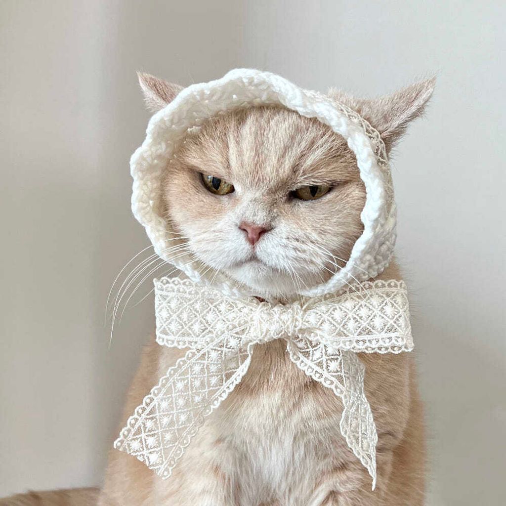 image_FA22BA71-D35C-46F7-A771-8210D093AC0A_1776228644