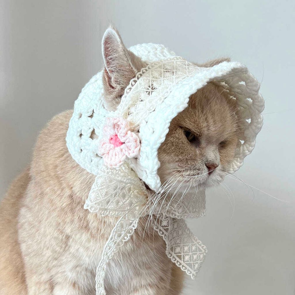 image_E68129B0-1736-49FB-8355-80CBC280E616_1776228644