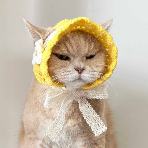 image_D439212D-3AD5-4381-AF89-1D3089EB92E9_1776228644