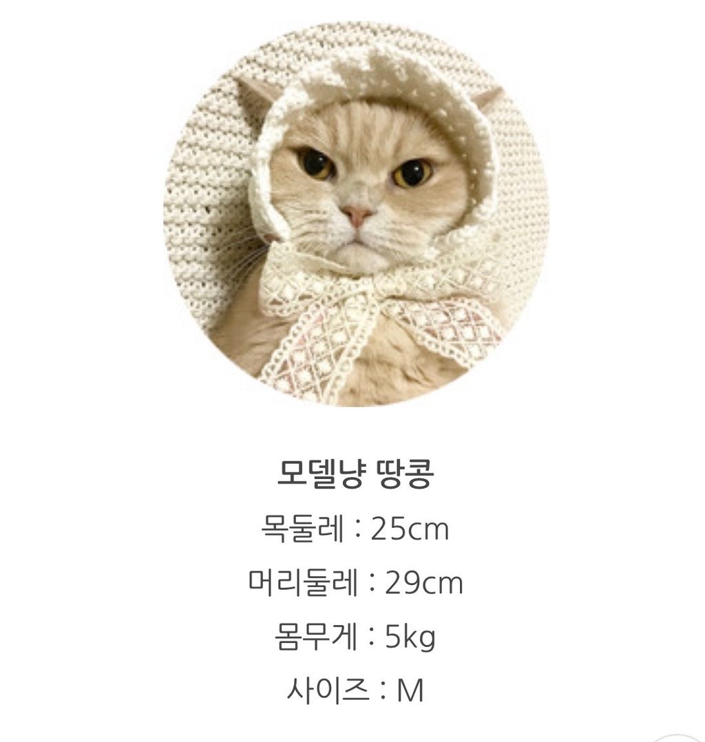 image_911B60FC-3C47-460F-A017-B88D4A14F8BB_1776228644