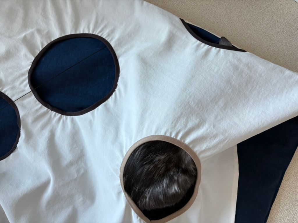 image_D8C661DD-202D-423C-A9EC-38903BE07A69_1776229820