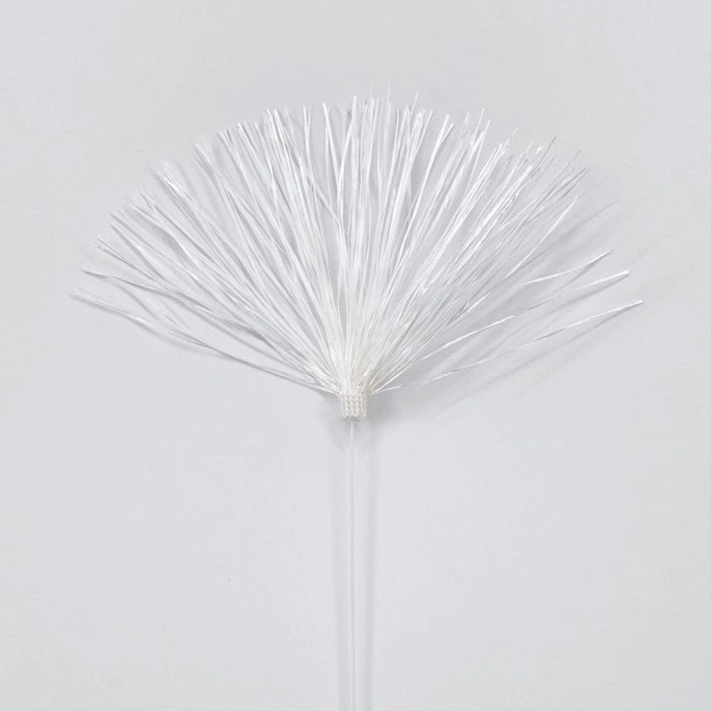 93879869264688708_1603762304