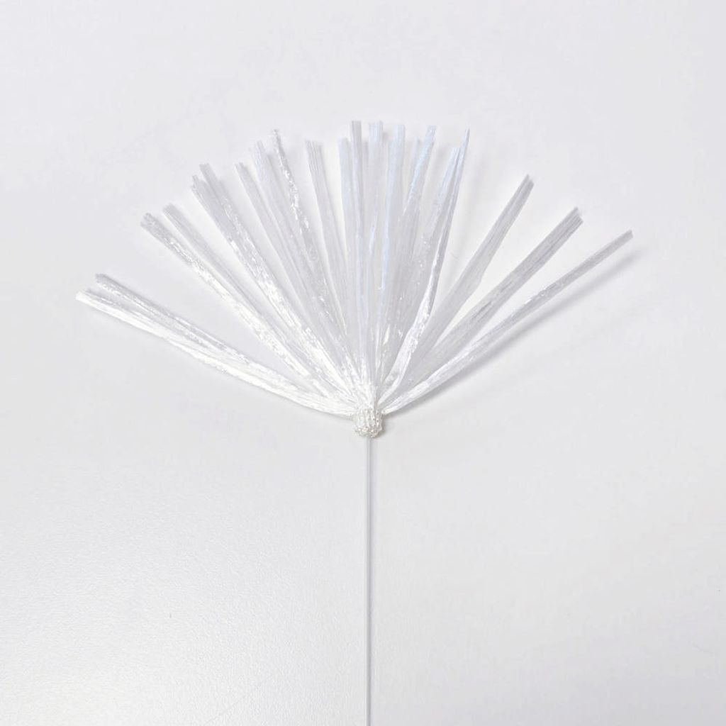 95580257616708325_119677341