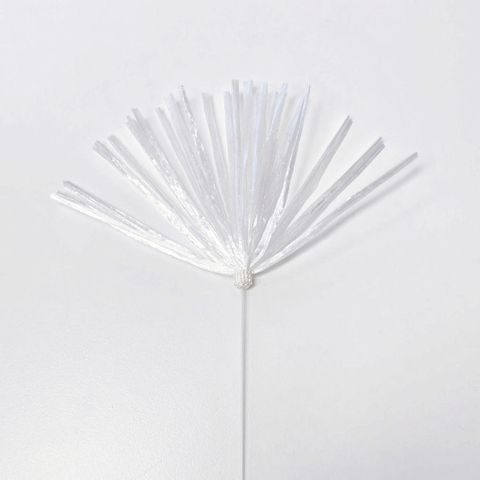 95580257616708325_119677341