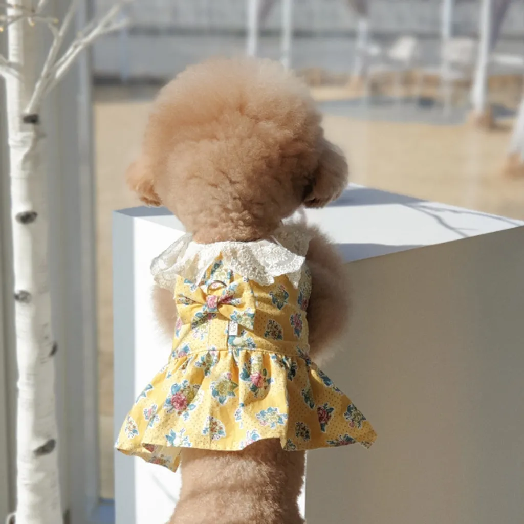 b1133964d3bf4016dd4b4639623b8a4e