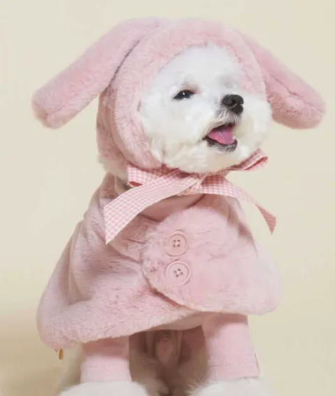 IMG_2416-1695648342545