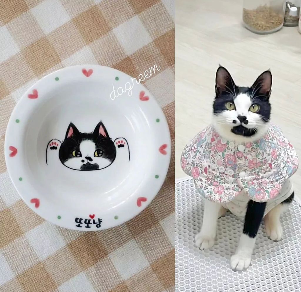 IMG_0925-1709643224602