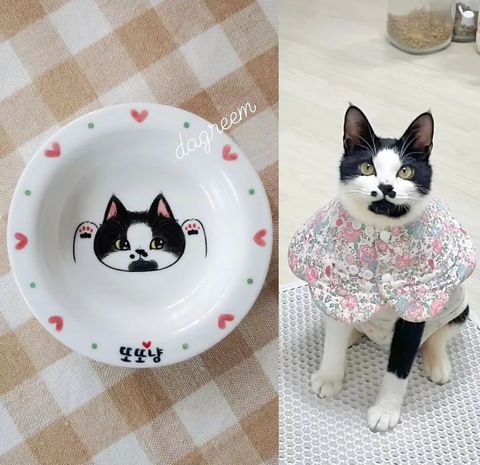 IMG_0925-1709643224602