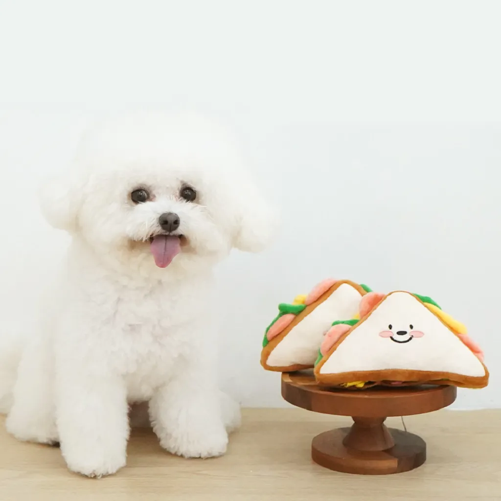 IMG_9129-1730649353059