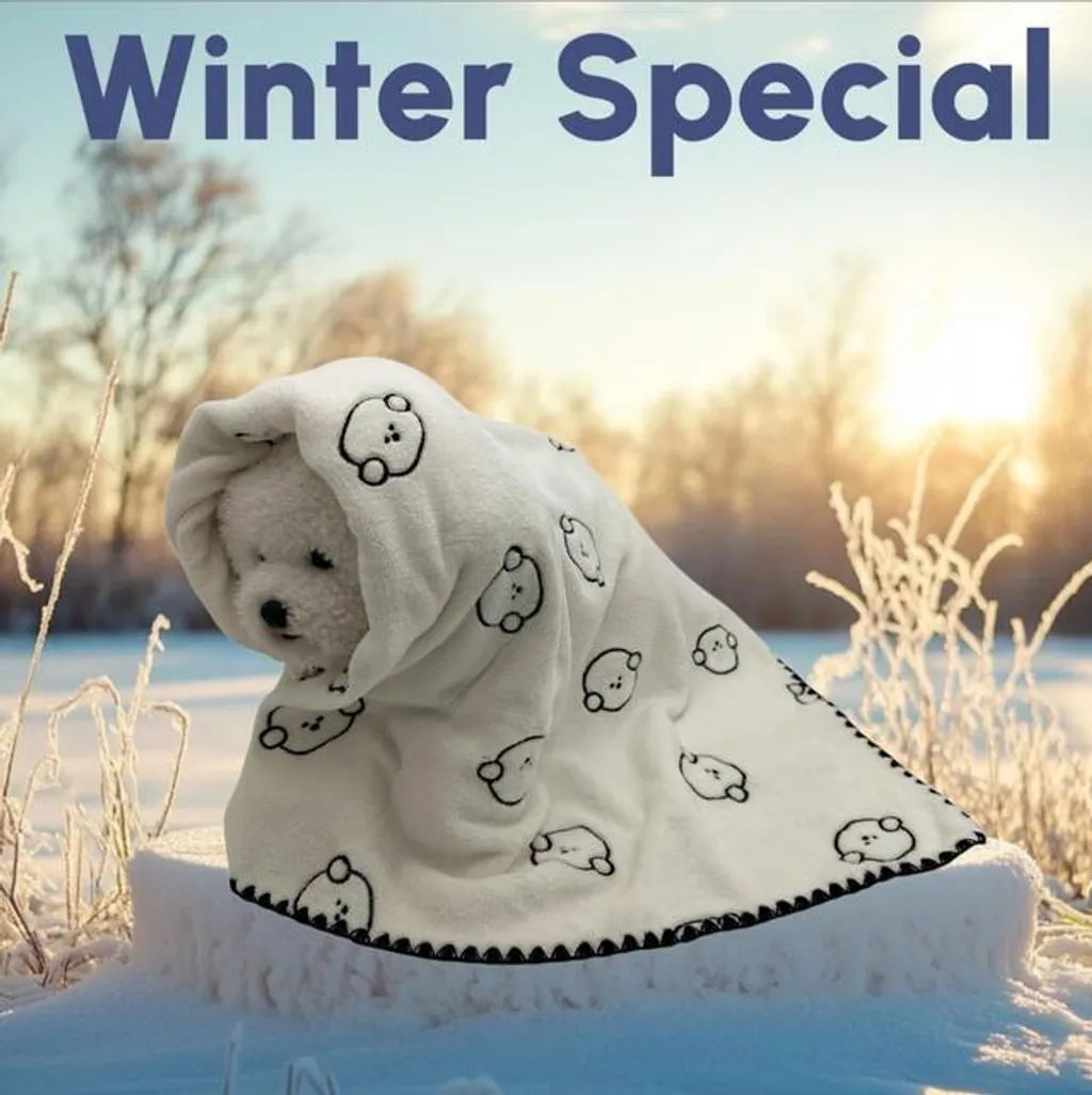 IMG_4857-1734375202055