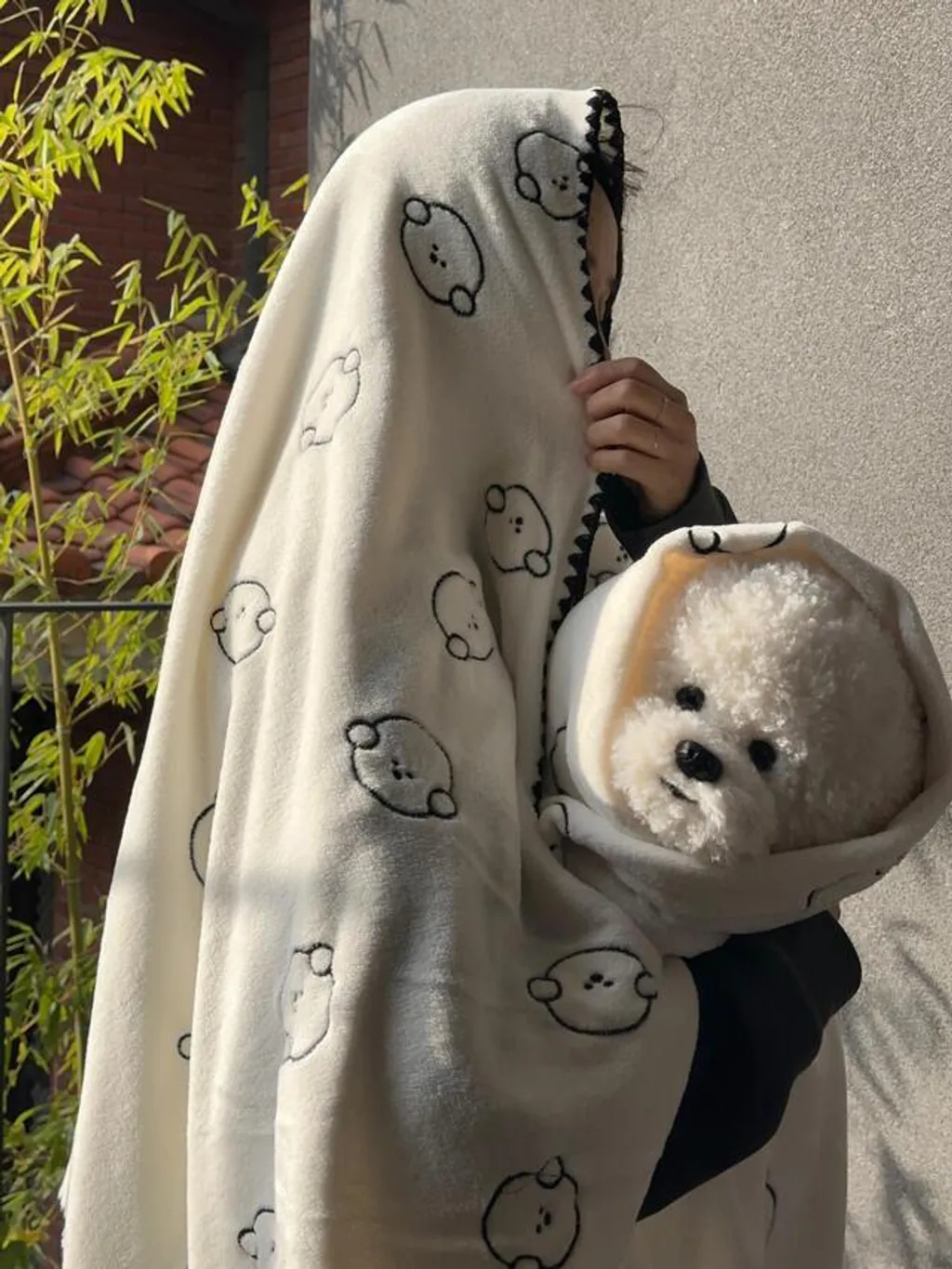 IMG_4867-1734375202065