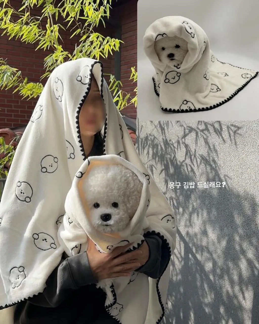 IMG_4868-1734375202068