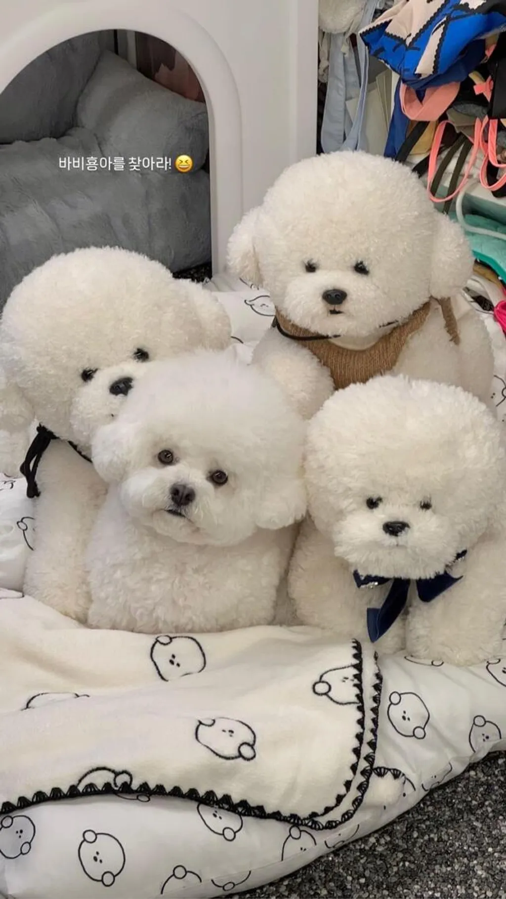 IMG_4869-1734375202070