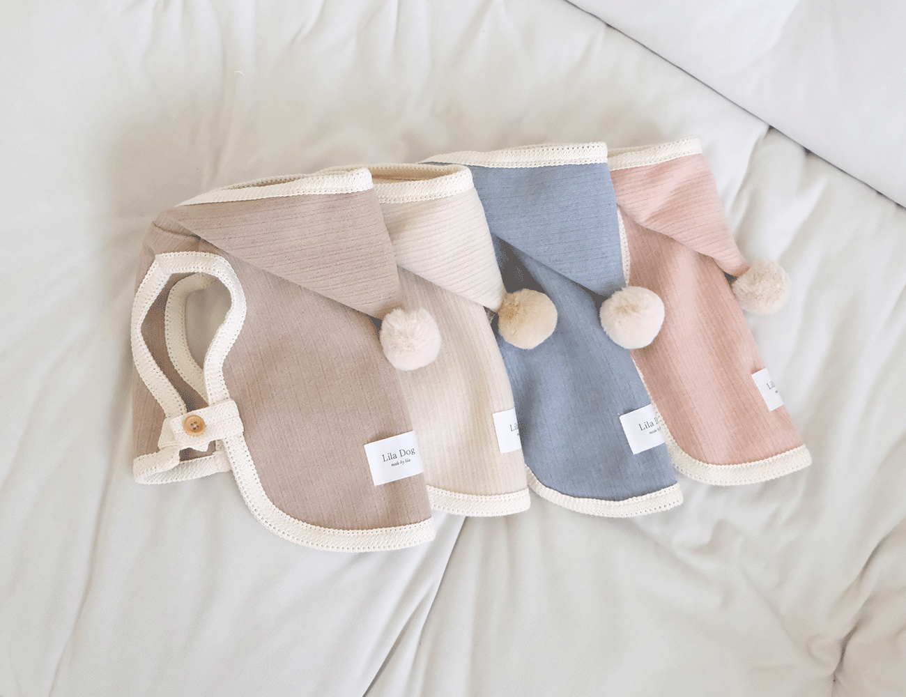 IMG_6104-1735834196019