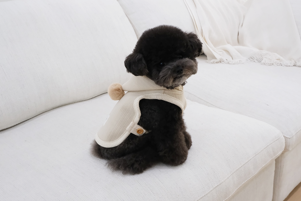 IMG_6105-1735834196025