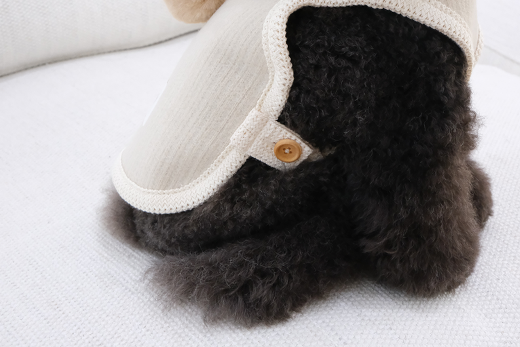 IMG_6106-1735834196026