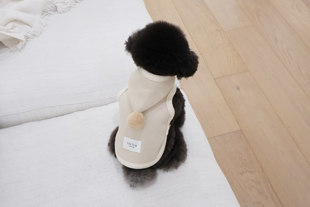 IMG_6107-1735834196028