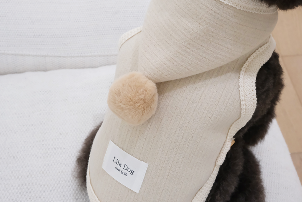 IMG_6108-1735834196031