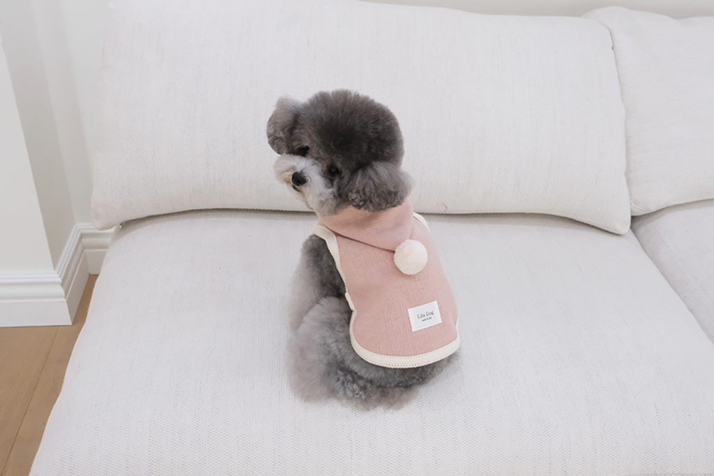 IMG_6111-1735834196037