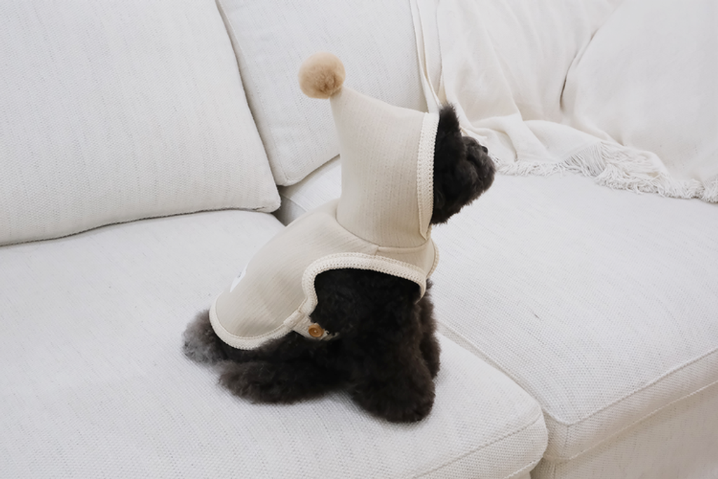 IMG_6110-1735834196039