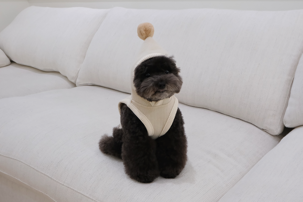 IMG_6109-1735834196044