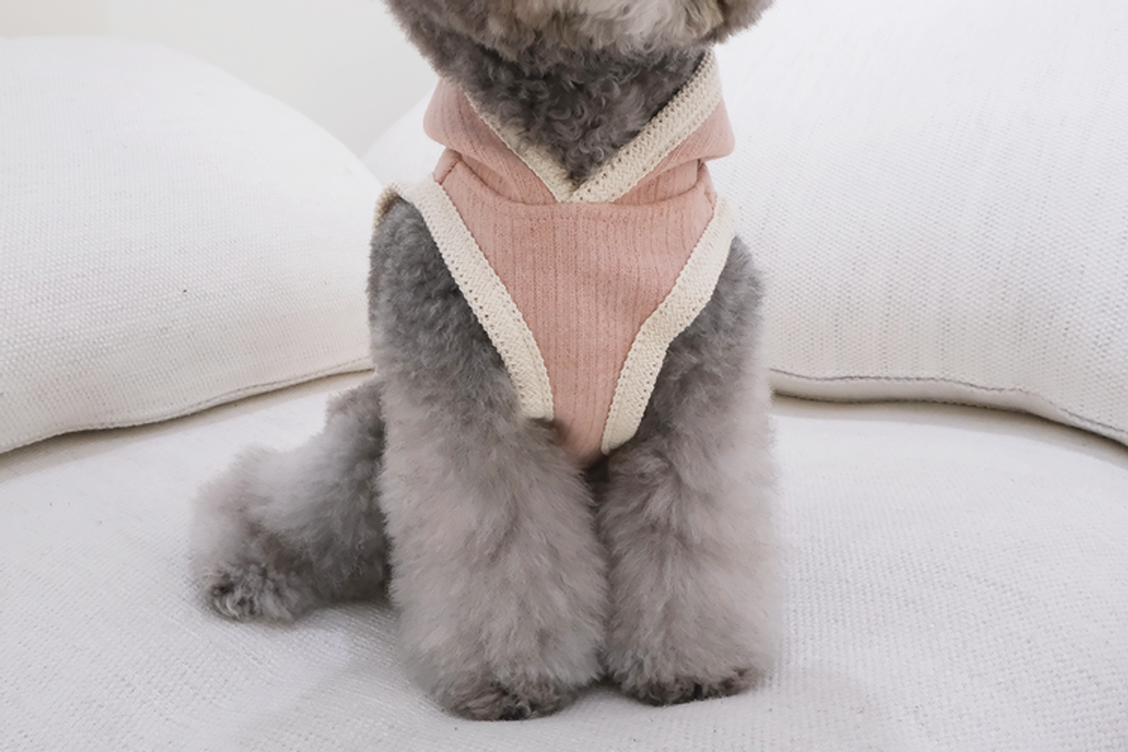 IMG_6112-1735834196047