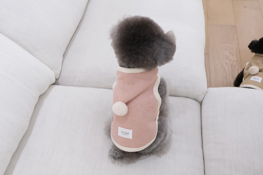 IMG_6113-1735834196053