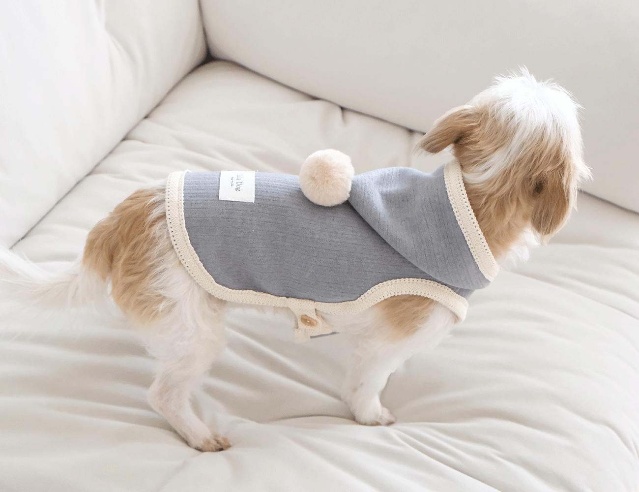 IMG_6114-1735834196056