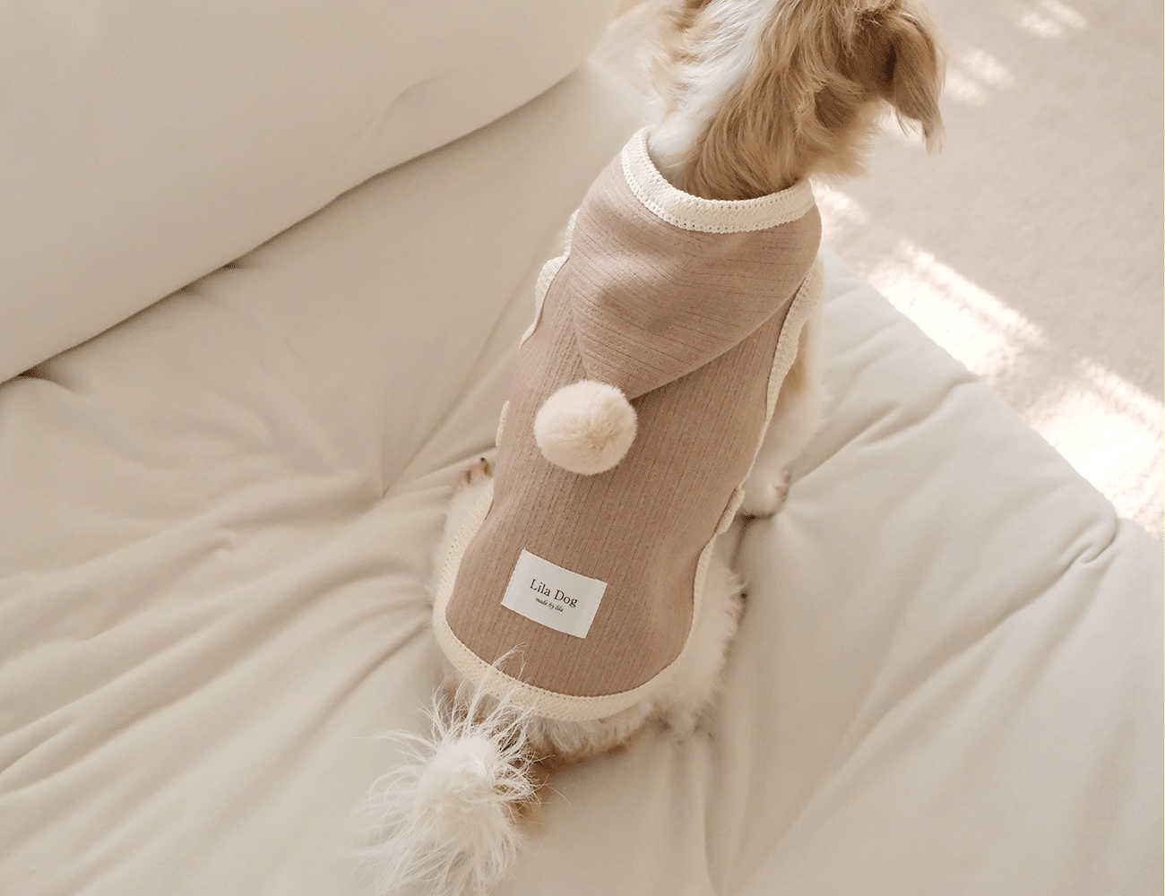 IMG_6117-1735834196059