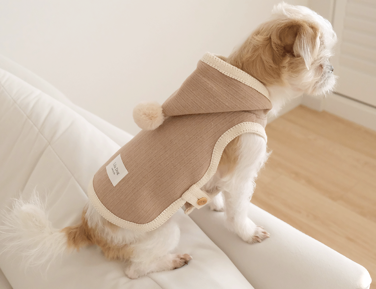 IMG_6116-1735834196064