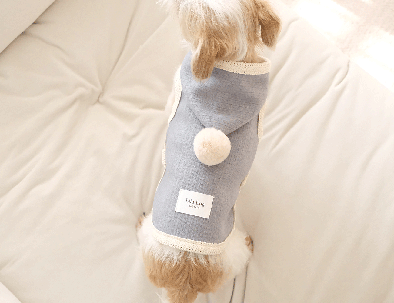 IMG_6115-1735834196061