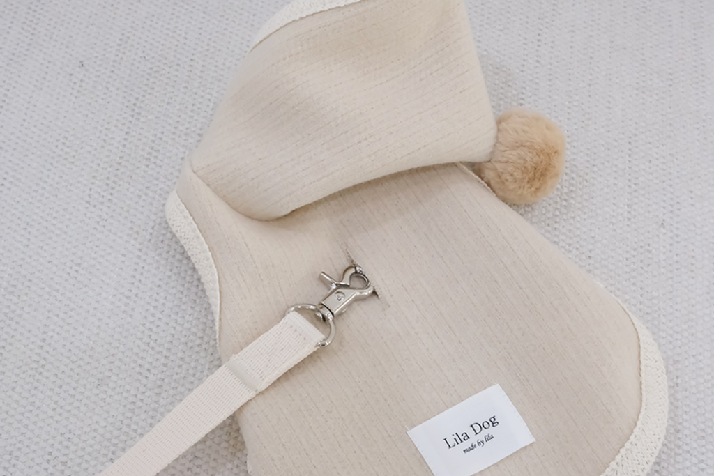 IMG_6118-1735834196069