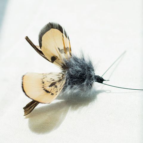 image_7EB13B50-D2C7-481D-AF02-3CE86D1DA7DC_1741015117