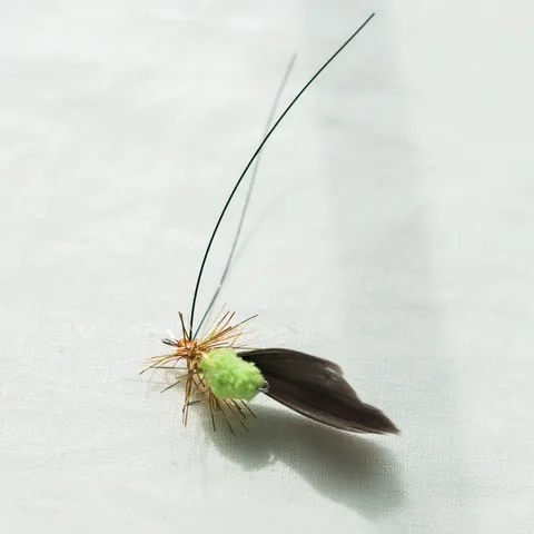 image_B3D4E6F3-CEF7-4977-AB8C-95ADFB45FA66_1741015500